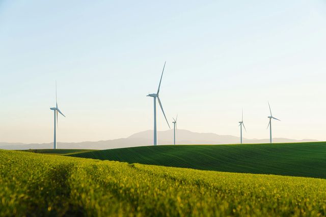 Klimaschutz und Energiewende