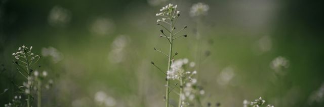 Naturschutzgebiet bleibt von Autobahnausbau verschont